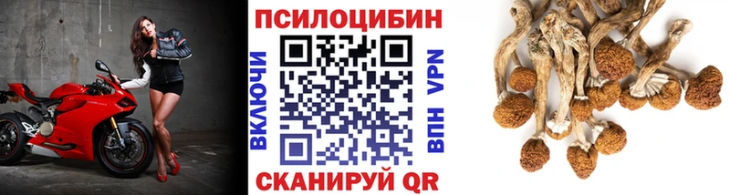 Псилоцибиновые грибы GOLDEN TEACHER Геленджик